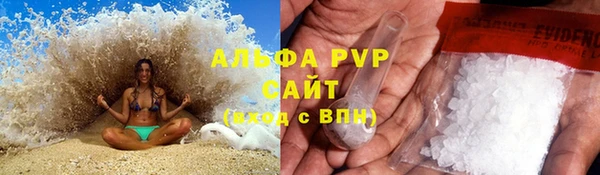 хмурый Белокуриха