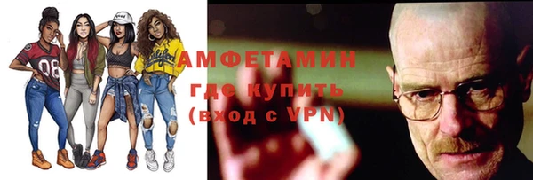 прущие грибы Беломорск