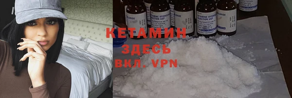 хмурый Белокуриха