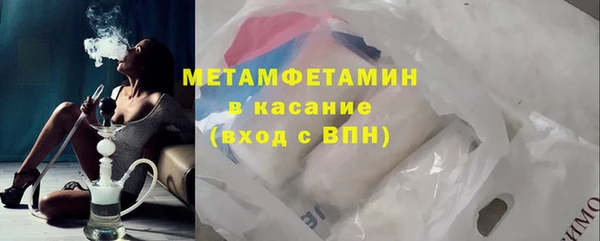 прущие грибы Беломорск