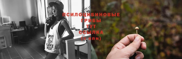 прущие грибы Беломорск