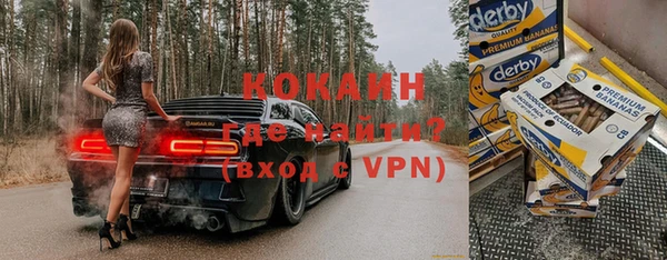прущие грибы Беломорск