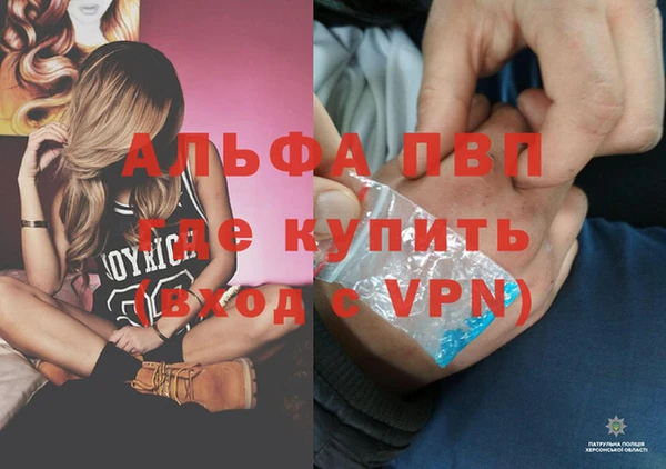 прущие крисы Богданович