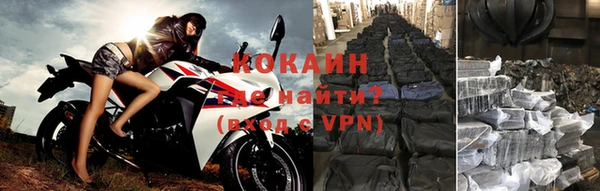 прущие грибы Беломорск