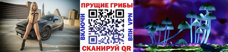 Псилоцибиновые грибы Psilocybe Верещагино